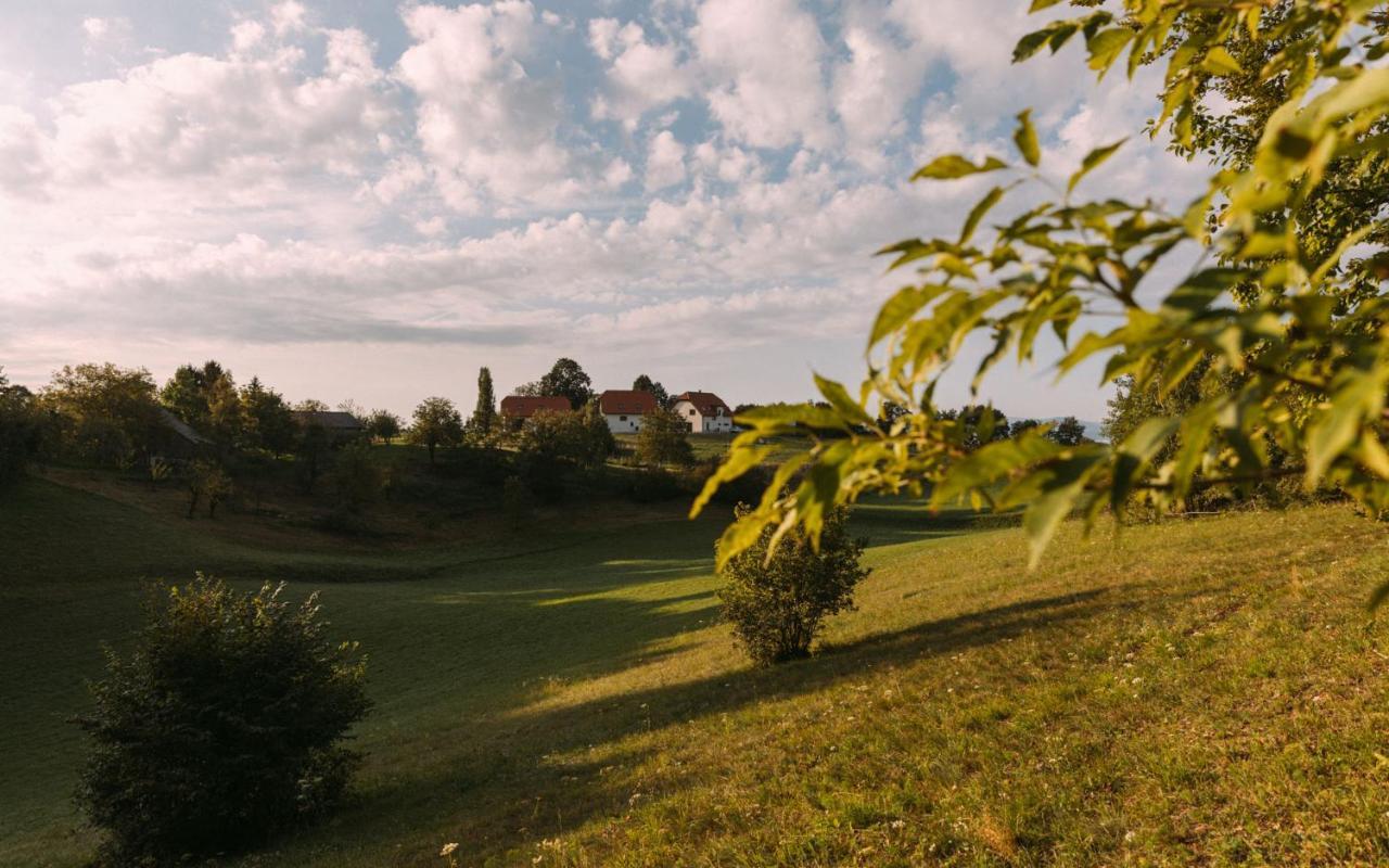 Hotel Hisa Na Ravnah Pišece Exterior foto