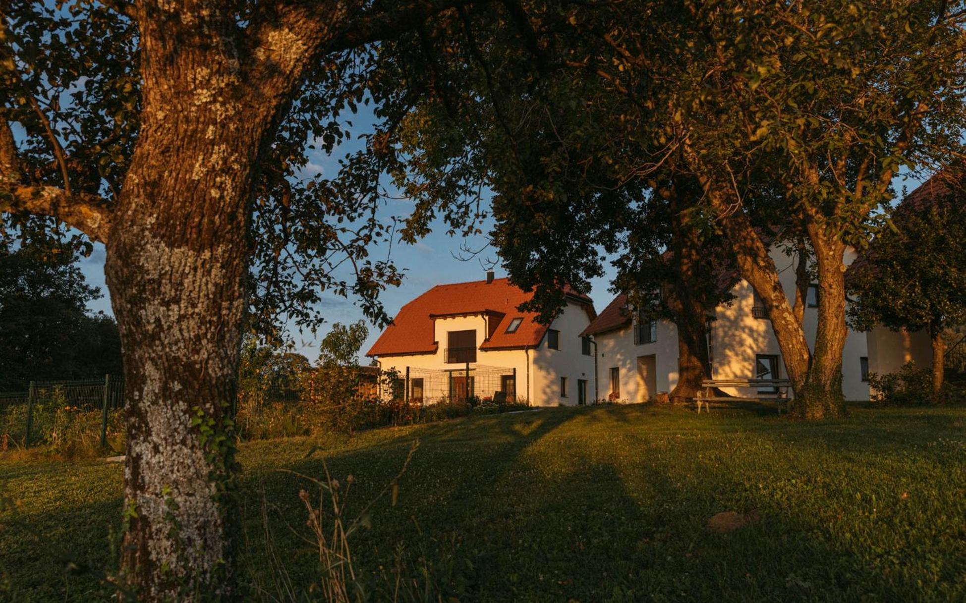 Hotel Hisa Na Ravnah Pišece Exterior foto